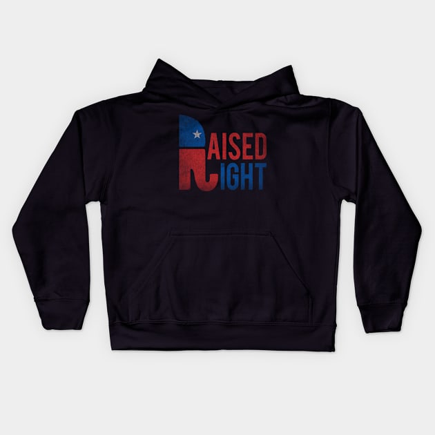 Raised Right Vintage Republican Kids Hoodie by Flippin' Sweet Gear